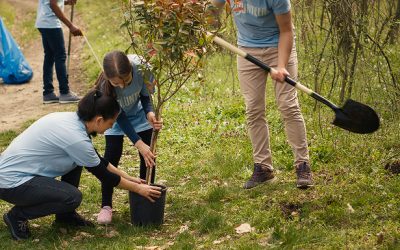 Reforestamos espacios para construir una comunidad más verde