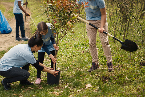 Reforestamos espacios para construir una comunidad más verde